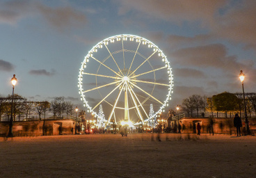 The tuileries in winter, Paris.