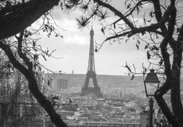 The Eiffel Tower, Paris